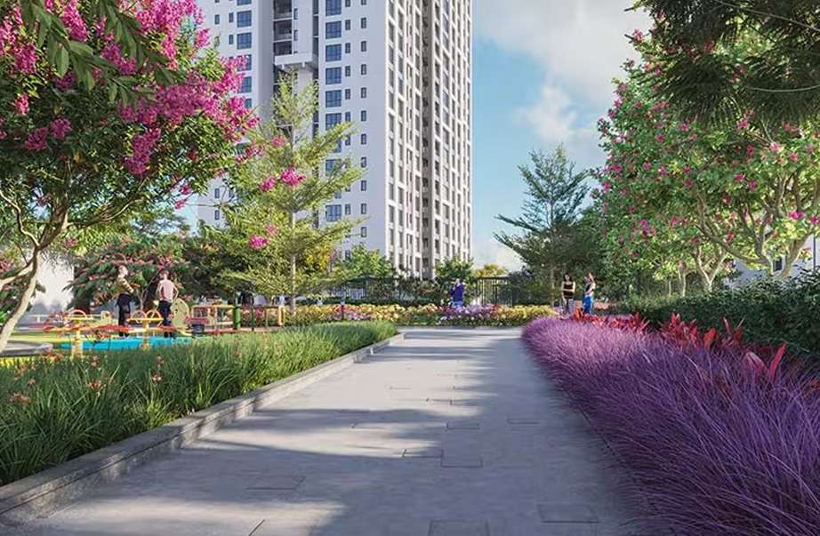 Urbana Project Image